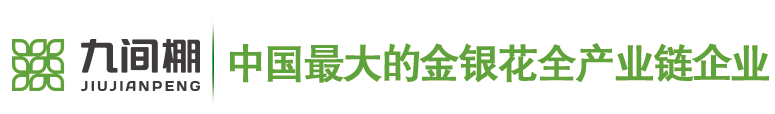 金银花苗木，金银花小苗，北花一号金银花种苗--金银花种苗厂家平邑县九间棚农业科技园有限公司